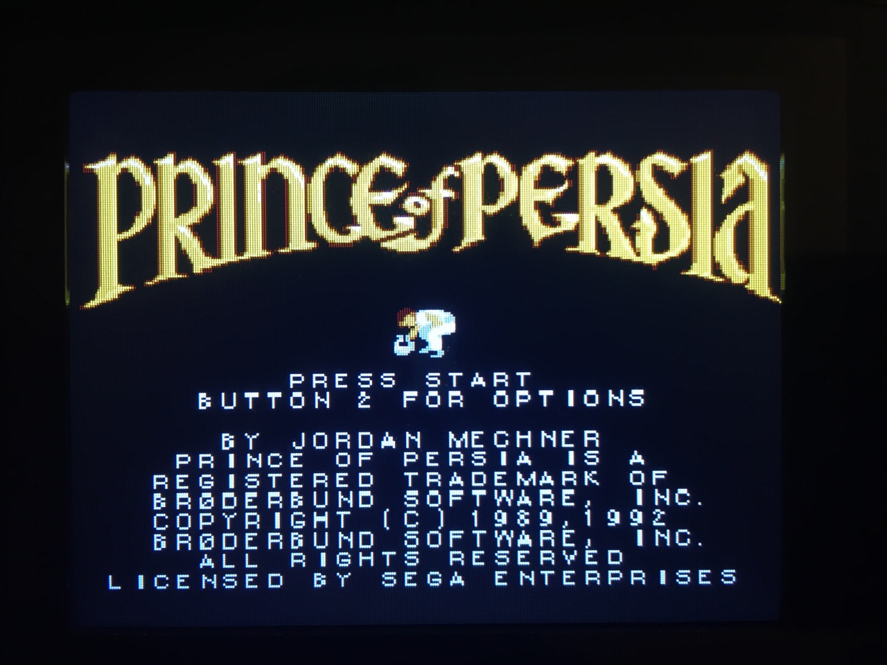 Screenshot von Prince of Persia auf dem Game Gear mit LCD Mod. (Bild: André Eymann)