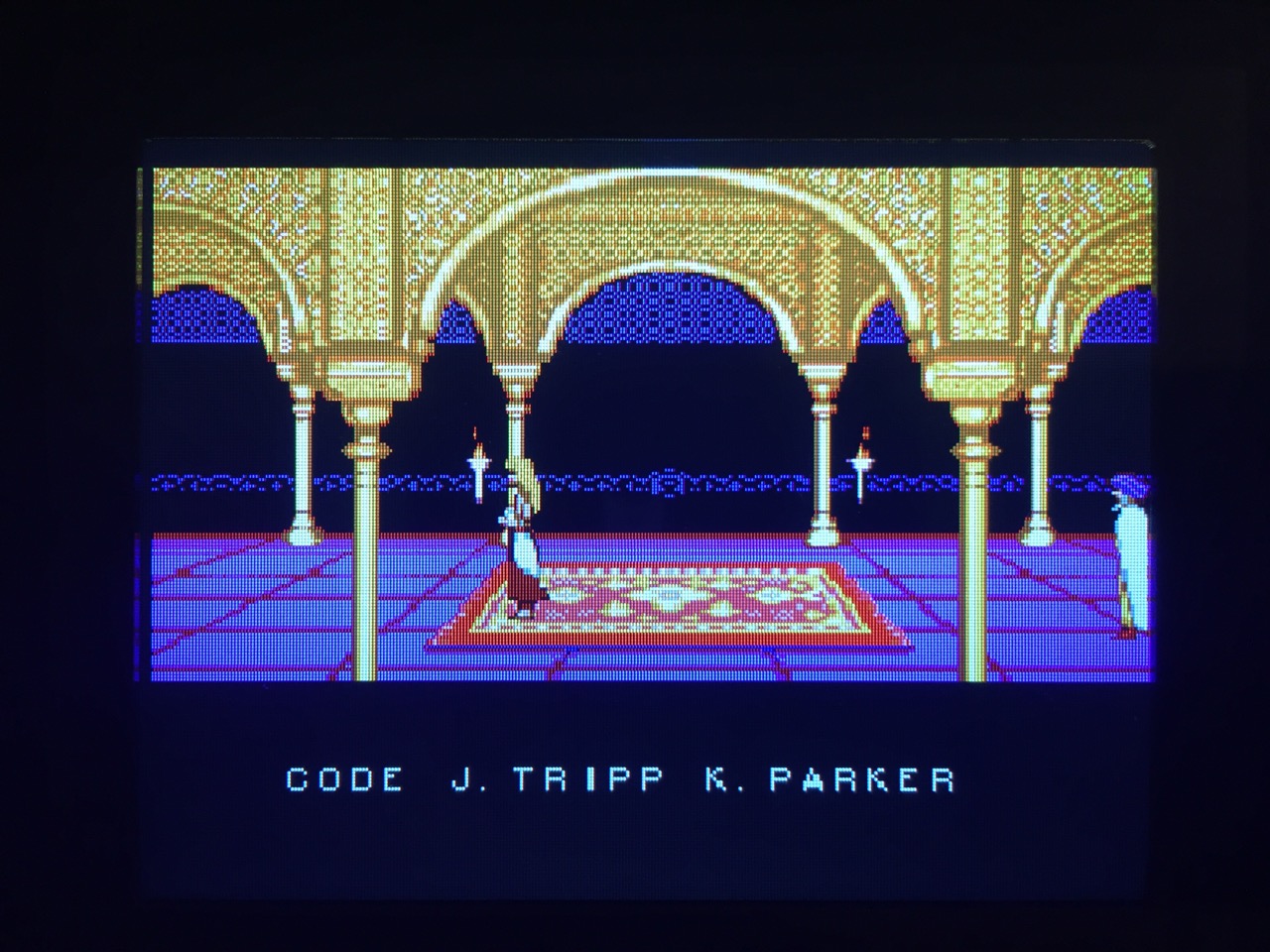 Screenshot von Prince of Persia auf dem Game Gear mit LCD Mod. (Bild: André Eymann)