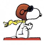 Snoopy der wundervolle Hund der Peanuts ist bereit für den Kampf. (Bild: Charles M. Schulz)