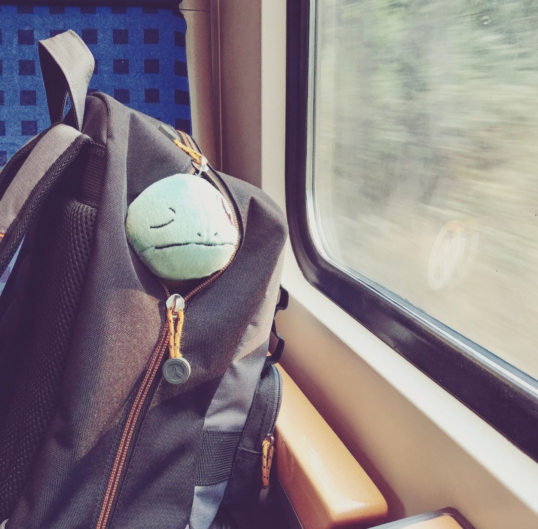 Foto aus dem Zug auf dem Weg zur Grugapark Poké-Liga in Essen