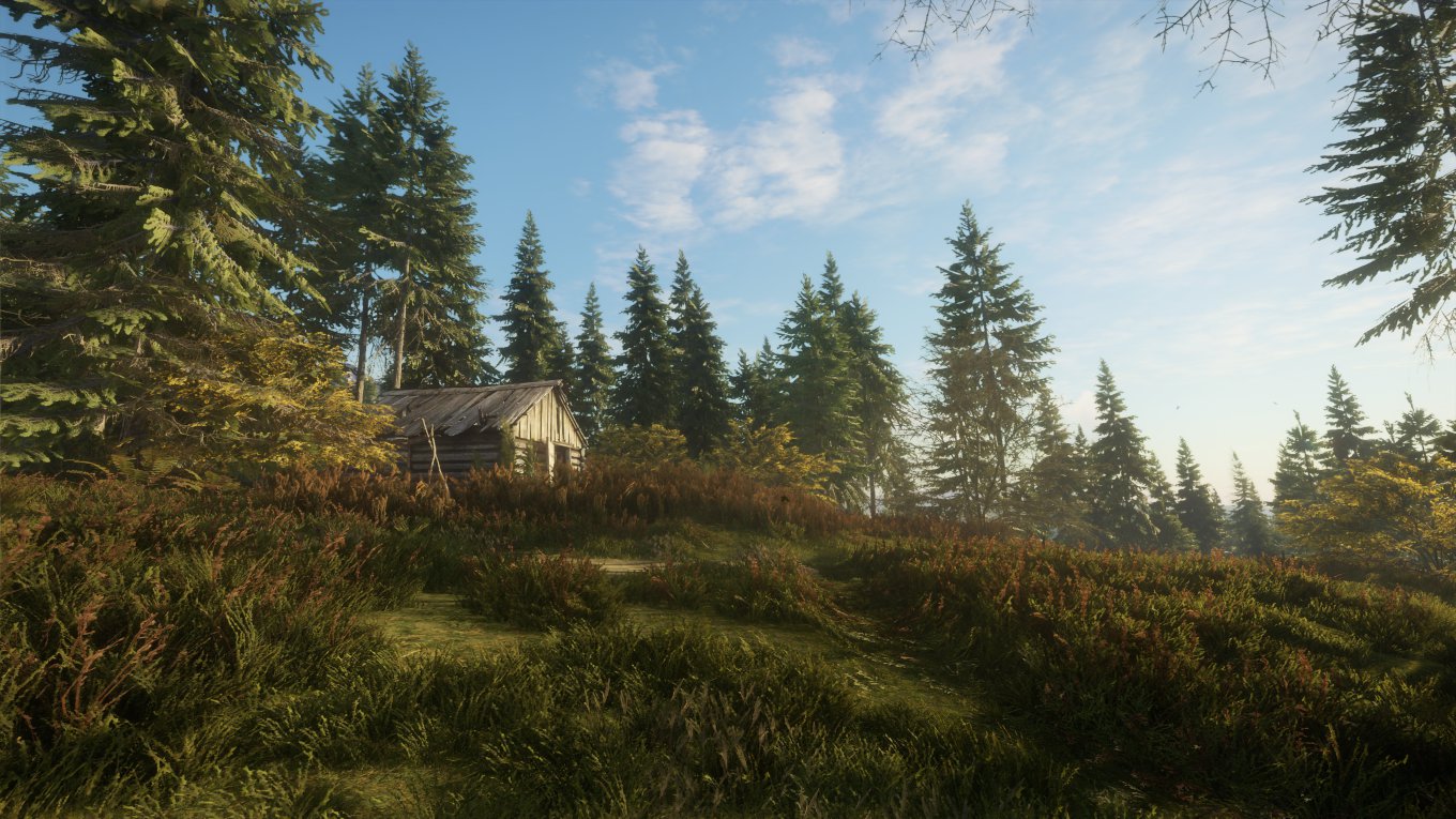 Ein Xbox Screenshot aus dem Jagdspiel The Hunter: Call of the Wild. Es zeigt eine verlassene Bretterhütte auf einem bewachsenen Hügel, umringt von Tannenbäumen. 