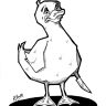 The Furious Duck